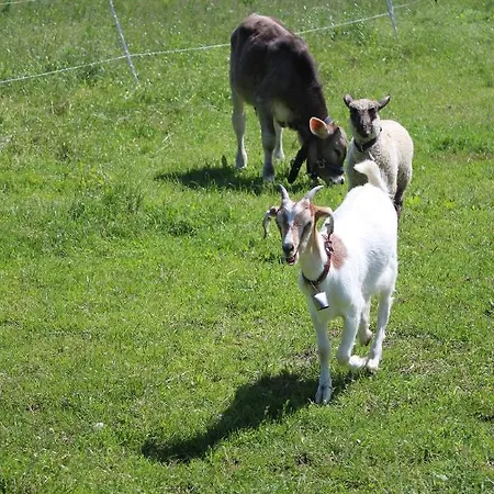 Apartment Loucny Mlyn Knezmost